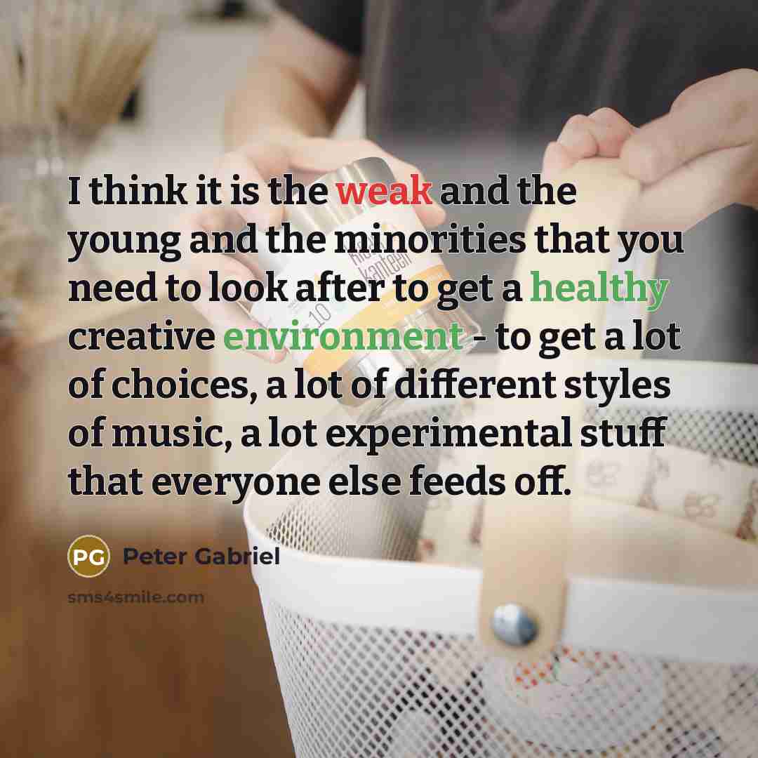 “I think it is the weak and the young and the minorities that you need to look after to get a healthy creative environment - to get a lot of choices, a lot of different styles of music, a lot experimental stuff that everyone else feeds off.” quote by Peter Gabriel