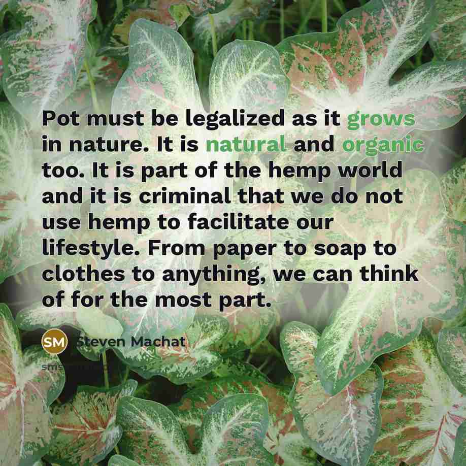 “Pot must be legalized as it grows in nature. It is natural and organic too. It is part of the hemp world and it is criminal that we do not use hemp to facilitate our lifestyle. From paper to soap to clothes to anything, we can think of for the most part.” quote by Steven Machat