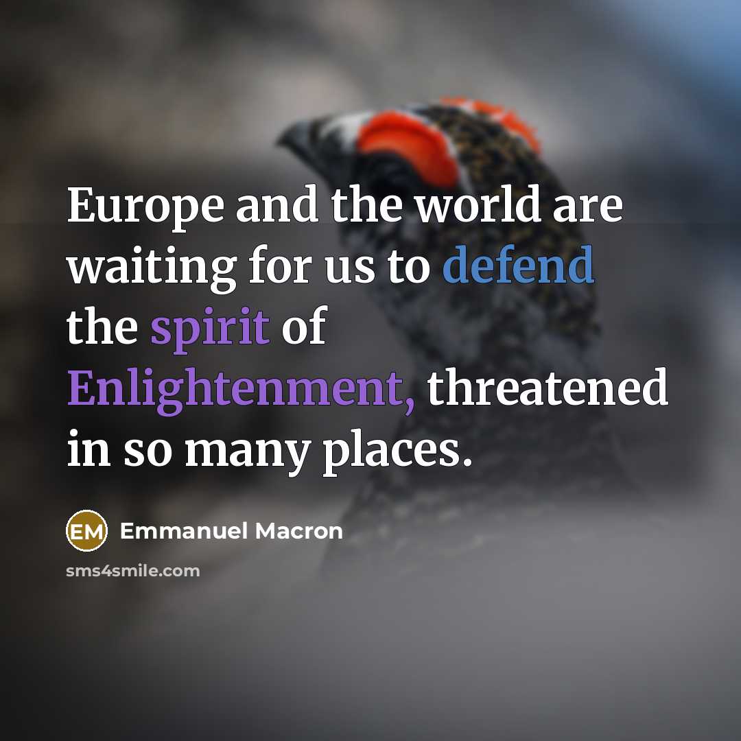 “Europe and the world are waiting for us to defend the spirit of Enlightenment, threatened in so many places.” quote by Emmanuel Macron