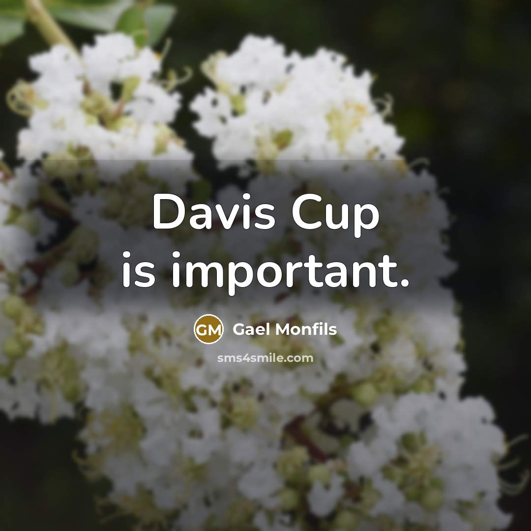 “Davis Cup is important.” quote by Gael Monfils