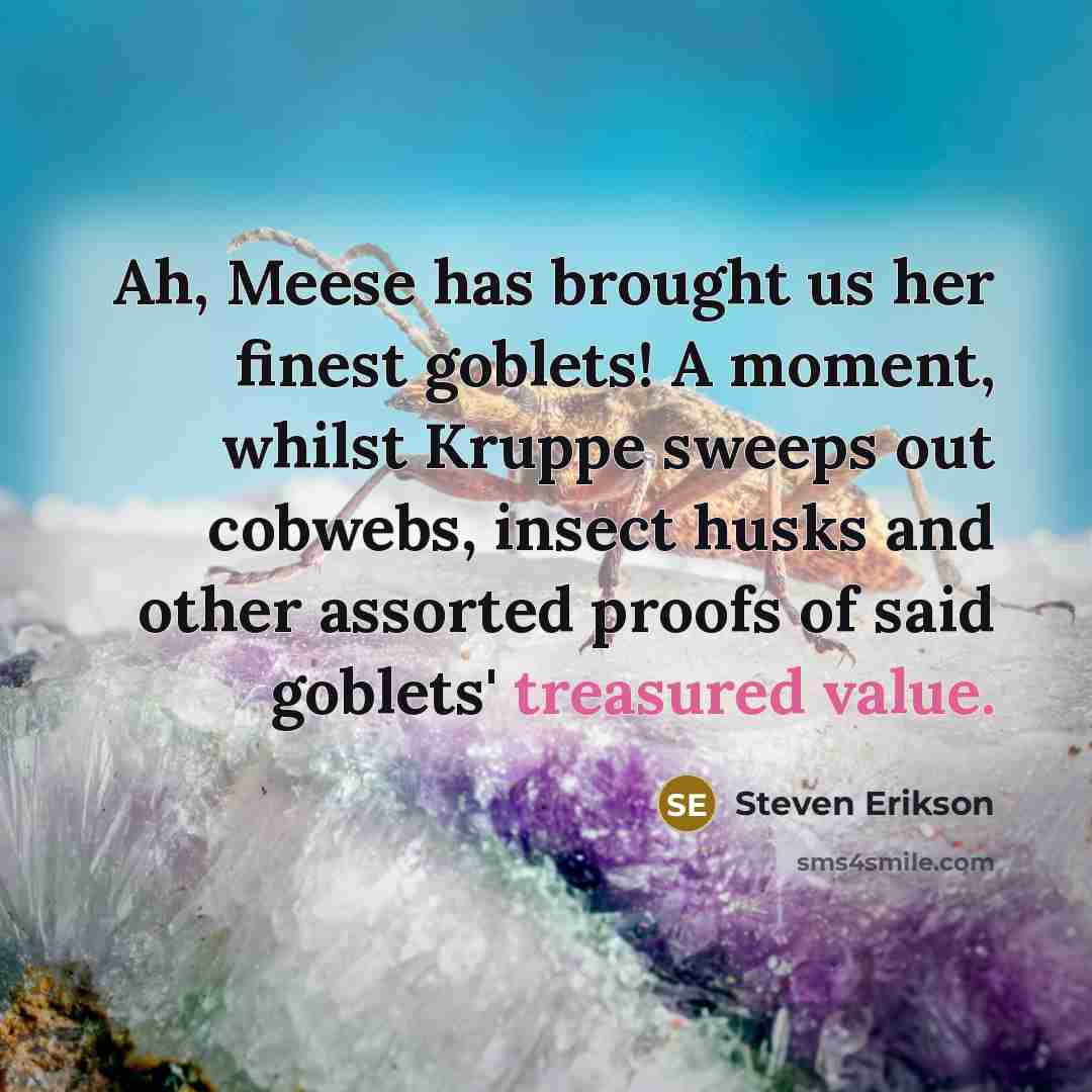 “Ah, Meese has brought us her finest goblets! A moment, whilst Kruppe sweeps out cobwebs, insect husks and other assorted proofs of said goblets' treasured value.” quote by Steven Erikson