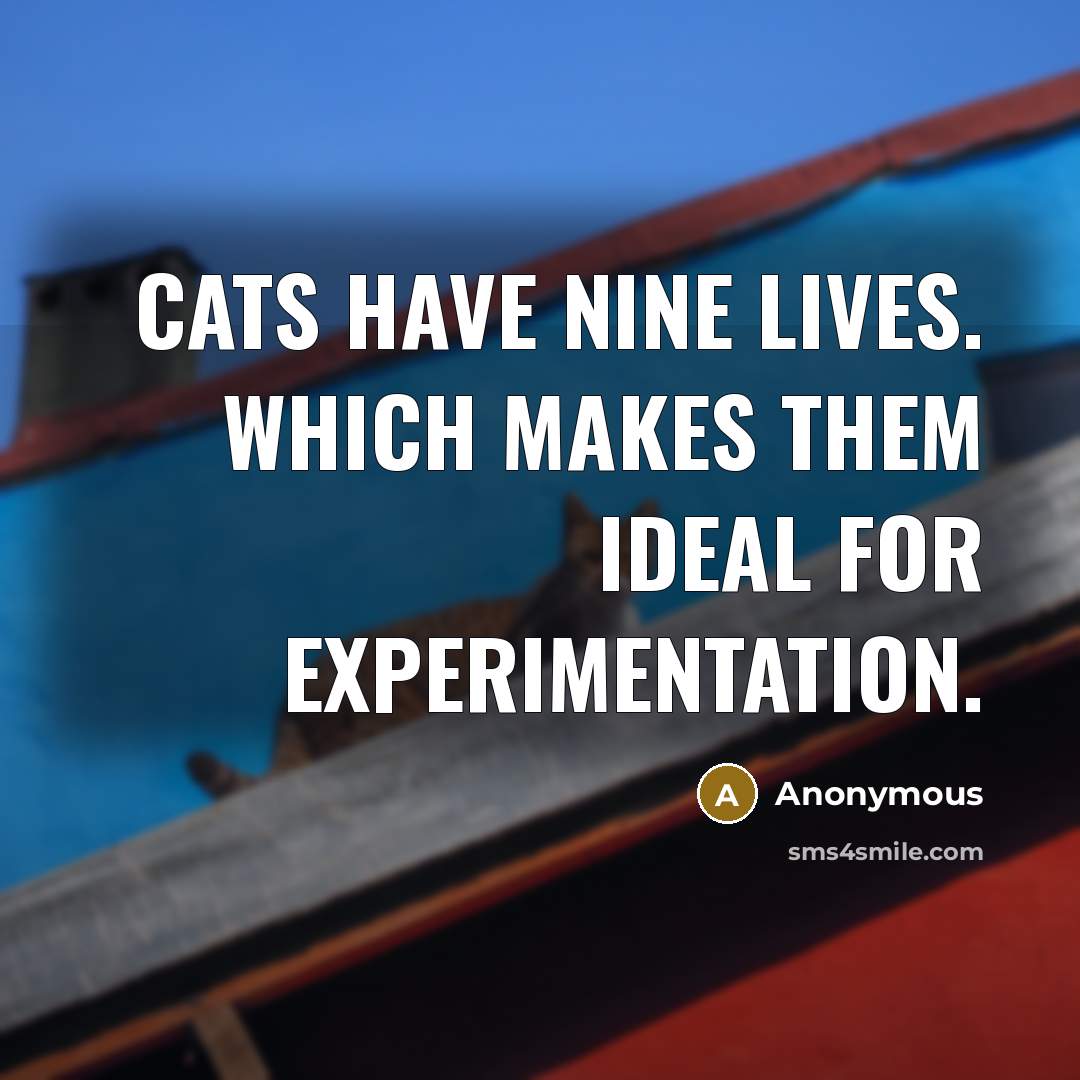 “Cats have nine lives. Which makes them ideal for experimentation.” quote by Anonymous