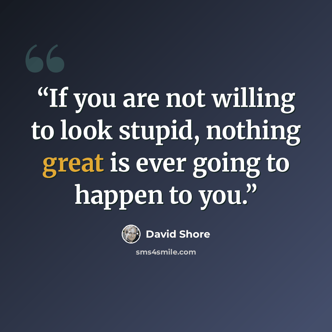 “If you are not willing to look stupid, nothing great is ever going to happen to you.” quote by David Shore