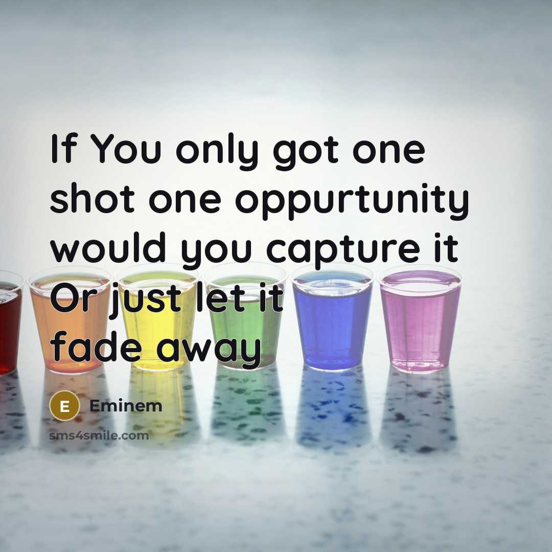 “If You only got one shot one oppurtunity would you capture it Or just let it fade away” quote by Eminem