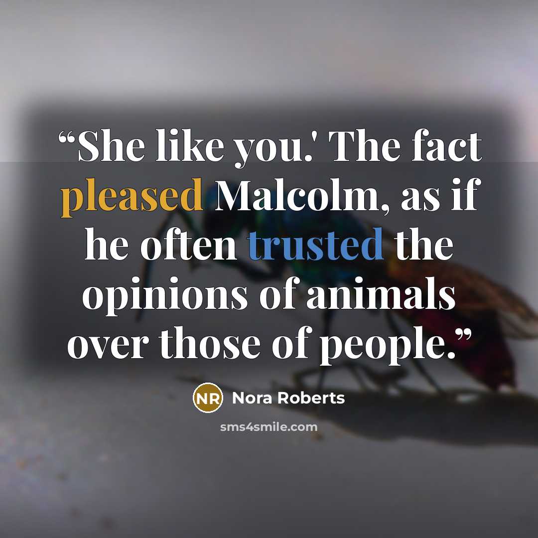 “She like you.' The fact pleased Malcolm, as if he often trusted the opinions of animals over those of people.” quote by Nora Roberts