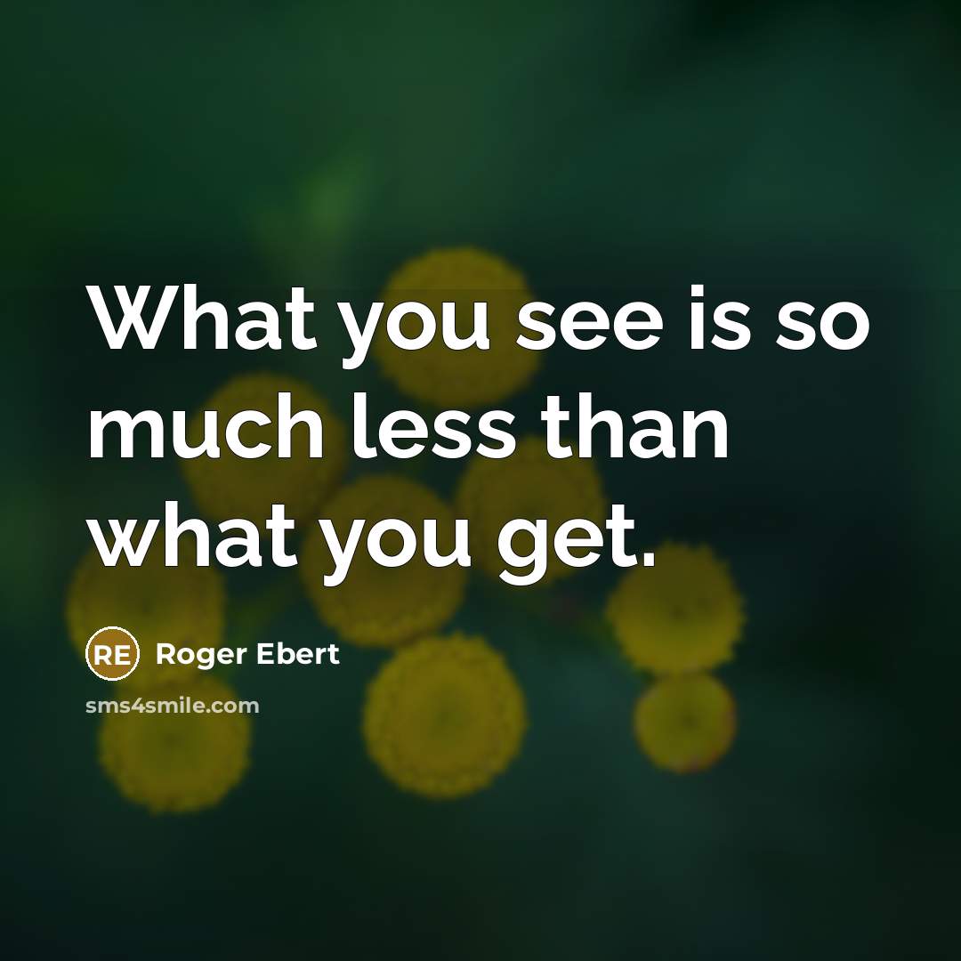 “What you see is so much less than what you get.” quote by Roger Ebert