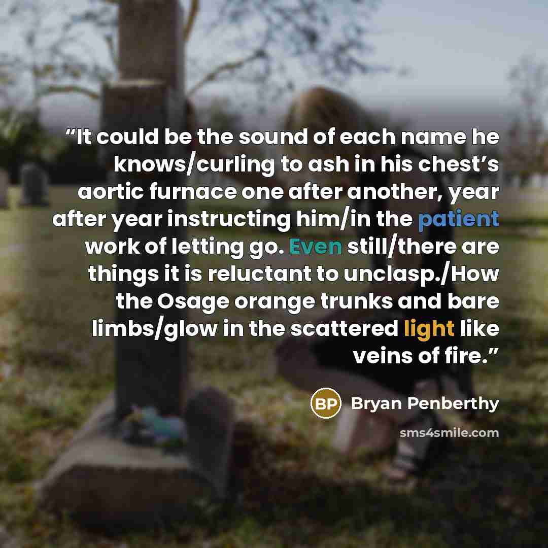 “It could be the sound of each name he knows/curling to ash in his chest’s aortic furnace one after another, year after year instructing him/in the patient work of letting go. Even still/there are things it is reluctant to unclasp./How the Osage orange trunks and bare limbs/glow in the scattered…” quote by Bryan Penberthy