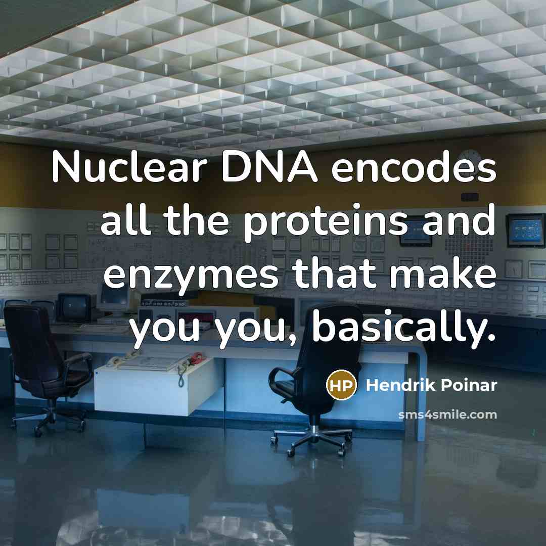“Nuclear DNA encodes all the proteins and enzymes that make you you, basically.” quote by Hendrik Poinar