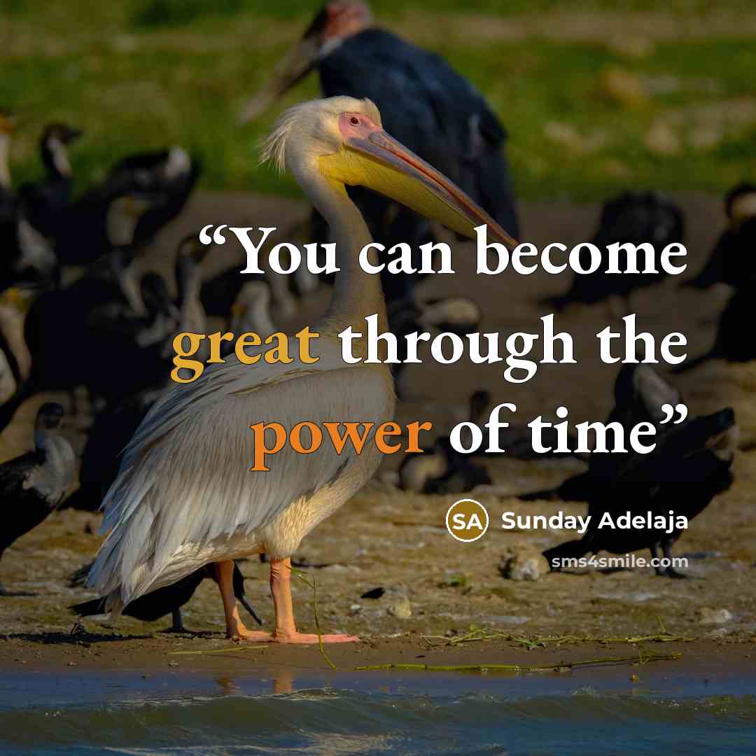 “You can become great through the power of time” quote by Sunday Adelaja