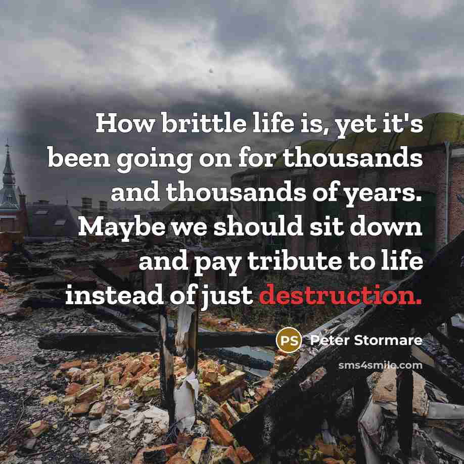 “How brittle life is, yet it's been going on for thousands and thousands of years. Maybe we should sit down and pay tribute to life instead of just destruction.” quote by Peter Stormare