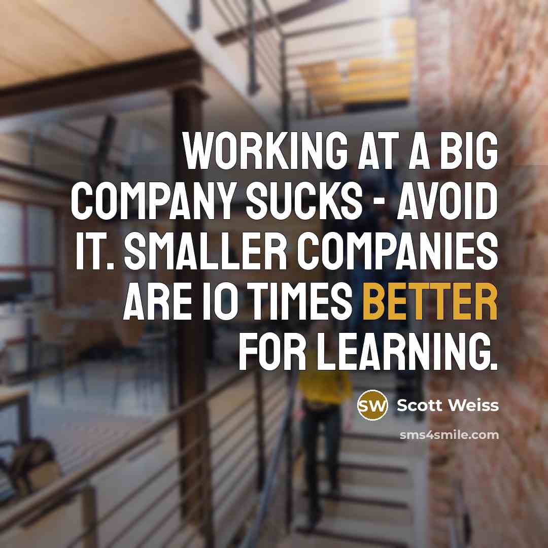 “Working at a big company sucks - avoid it. Smaller companies are 10 times better for learning.” quote by Scott Weiss
