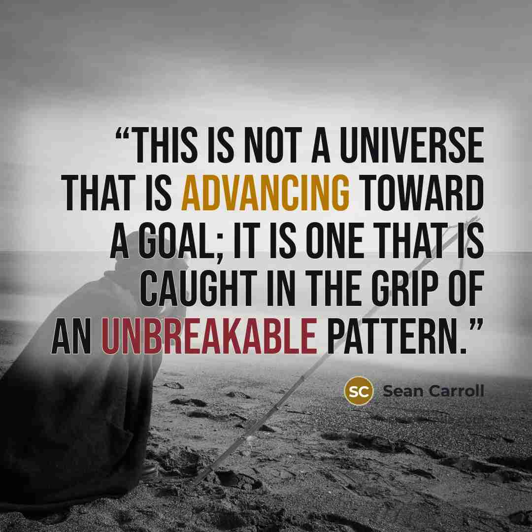 “This is not a universe that is advancing toward a goal; it is one that is caught in the grip of an unbreakable pattern.” quote by Sean Carroll