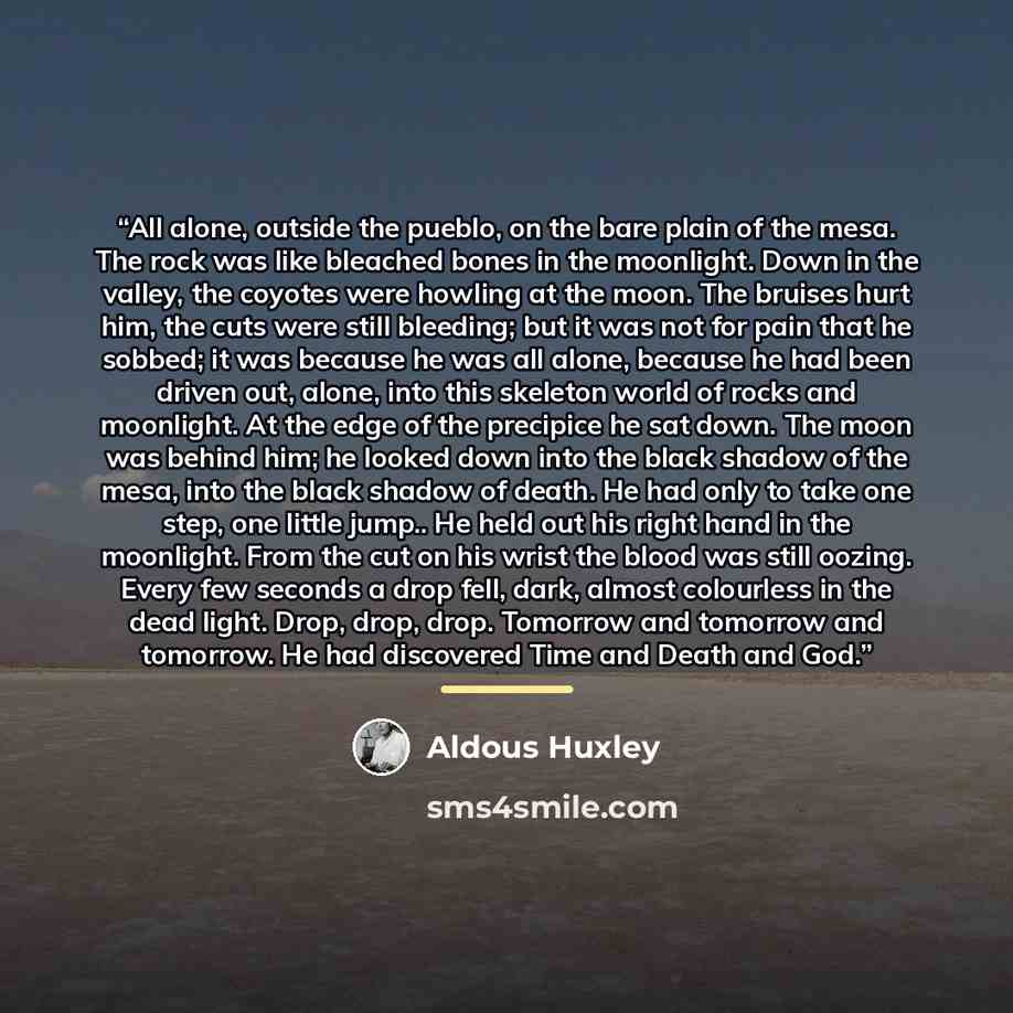 “All alone, outside the pueblo, on the bare plain of the mesa. The rock was like bleached bones in the moonlight. Down in the valley, the coyotes were howling at the moon. The bruises hurt him, the cuts were still bleeding; but it was not for pain that he sobbed; it was because he was all alone…” quote by Aldous Huxley