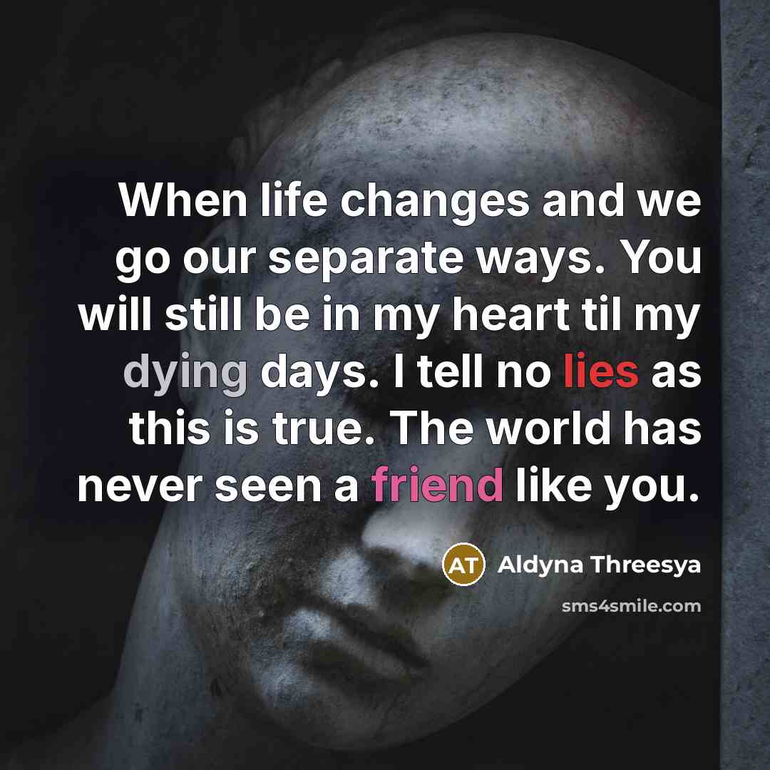 “When life changes and we go our separate ways. You will still be in my heart til my dying days. I tell no lies as this is true. The world has never seen a friend like you.” quote by Aldyna Threesya