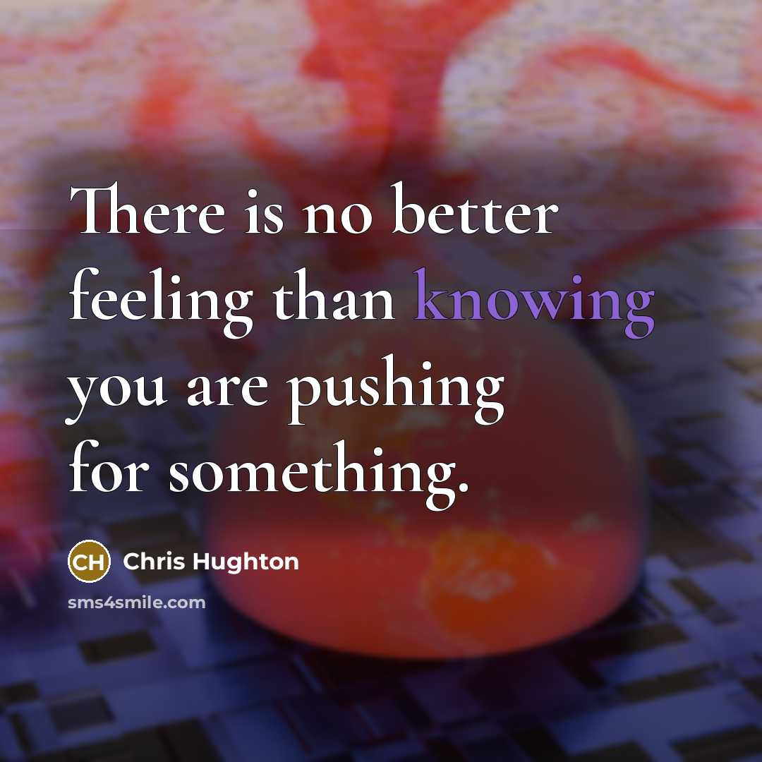 “There is no better feeling than knowing you are pushing for something.” quote by Chris Hughton