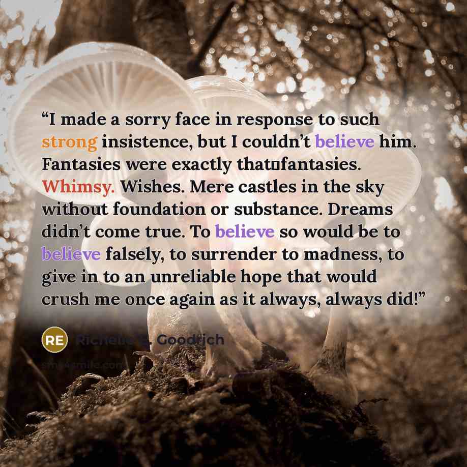 “I made a sorry face in response to such strong insistence, but I couldn’t believe him. Fantasies were exactly that―fantasies. Whimsy. Wishes. Mere castles in the sky without foundation or substance. Dreams didn’t come true. To believe so would be to believe falsely, to surrender to madness, to…” quote by Richelle E. Goodrich
