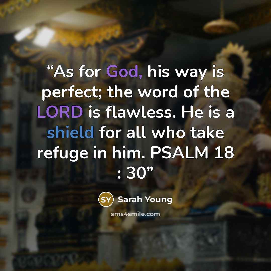 “As for God, his way is perfect; the word of the LORD is flawless. He is a shield for all who take refuge in him. PSALM 18 : 30” quote by Sarah Young