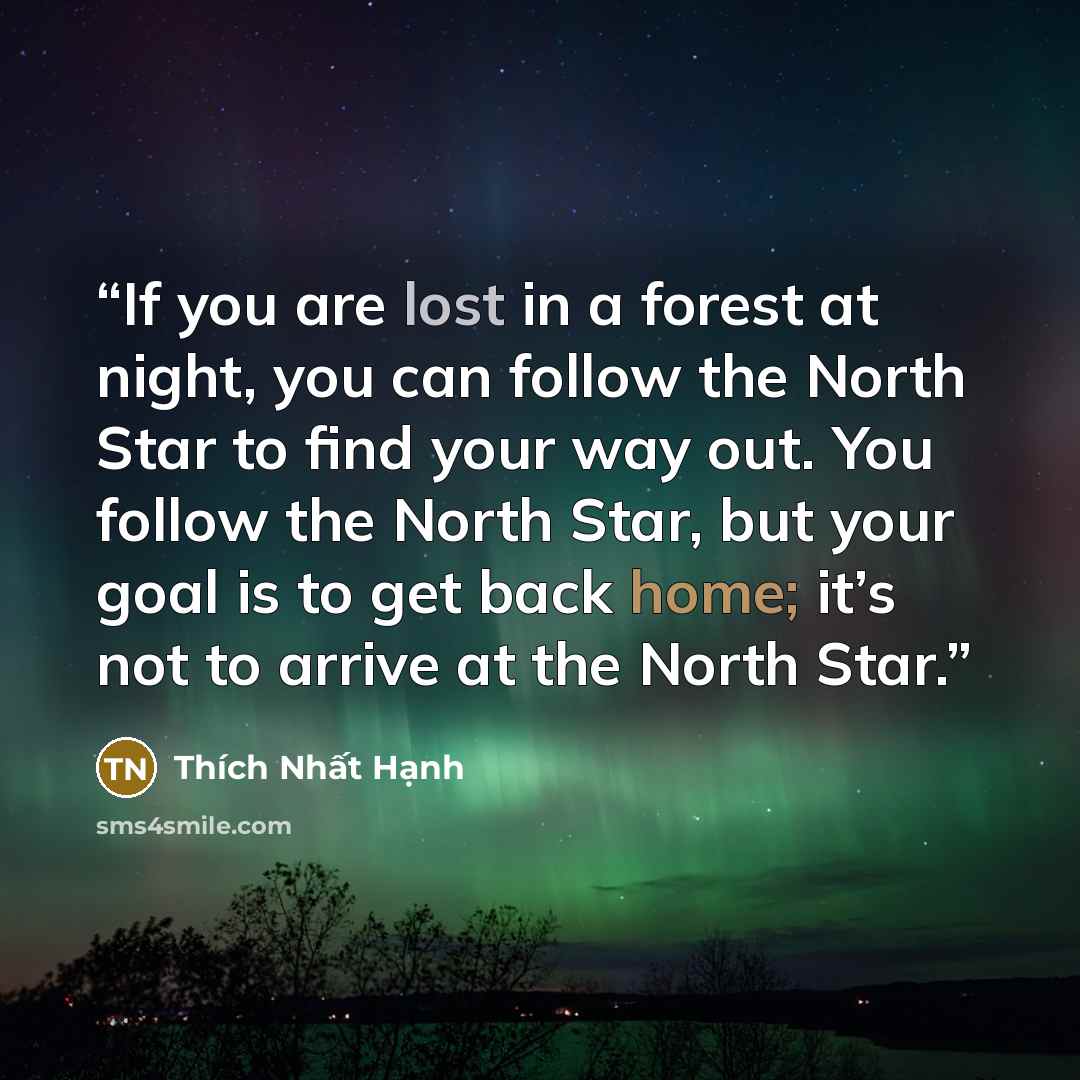 “If you are lost in a forest at night, you can follow the North Star to find your way out. You follow the North Star, but your goal is to get back home; it’s not to arrive at the North Star.” quote by Thich Nhat Hanh
