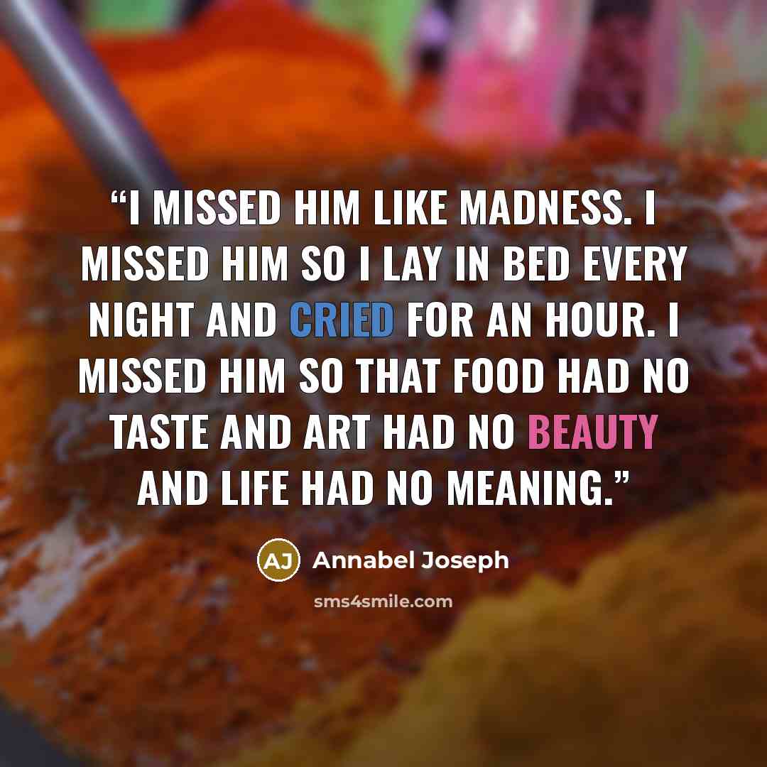 “I missed him like madness. I missed him so I lay in bed every night and cried for an hour. I missed him so that food had no taste and art had no beauty and life had no meaning.” quote by Annabel Joseph