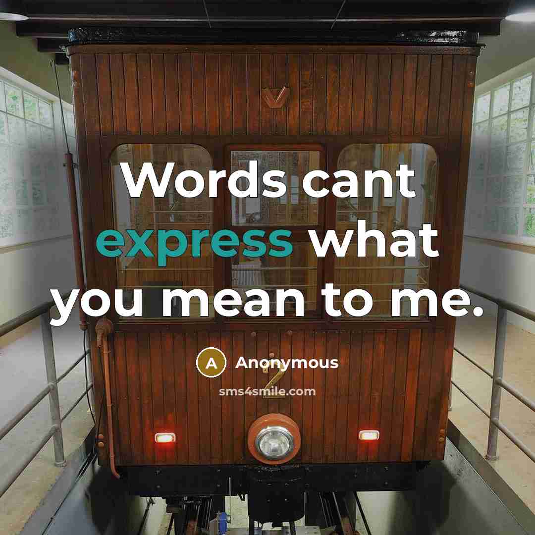 “Words cant express what you mean to me.” quote by Anonymous