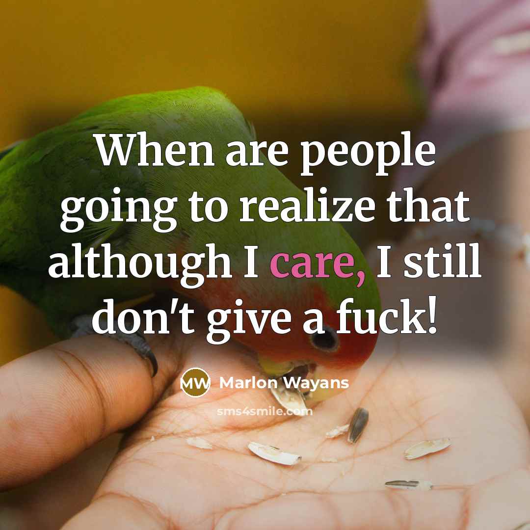 “When are people going to realize that although I care, I still don't give a fuck!” quote by Marlon Wayans