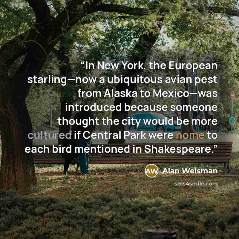 “In New York, the European starling—now a ubiquitous avian pest from Alaska to Mexico—was introduced because someone thought the city would be more cultured if Central Park were home to each bird mentioned in Shakespeare.” quote by Alan Weisman