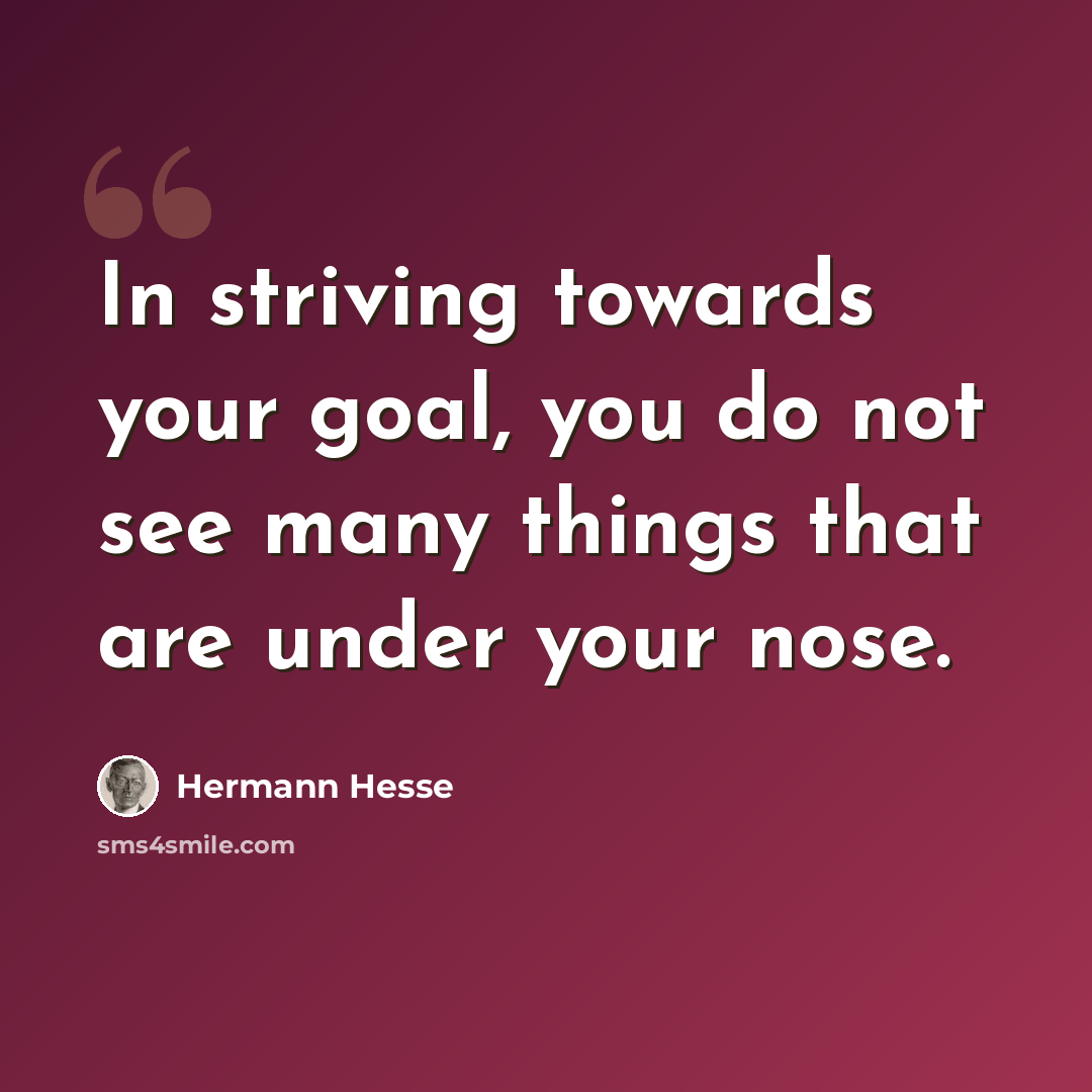 “In striving towards your goal, you do not see many things that are under your nose.” quote by Hermann Hesse
