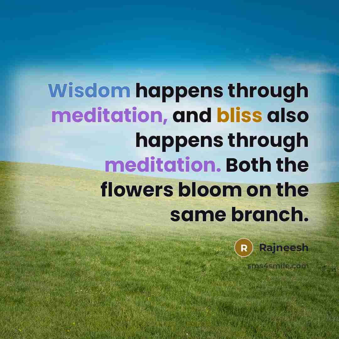 “Wisdom happens through meditation, and bliss also happens through meditation. Both the flowers bloom on the same branch.” quote by Rajneesh