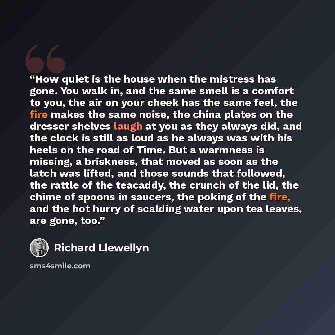 “How quiet is the house when the mistress has gone. You walk in, and the same smell is a comfort to you, the air on your cheek has the same feel, the fire makes the same noise, the china plates on the dresser shelves laugh at you as they always did, and the clock is still as loud as he always was…” quote by Richard Llewellyn
