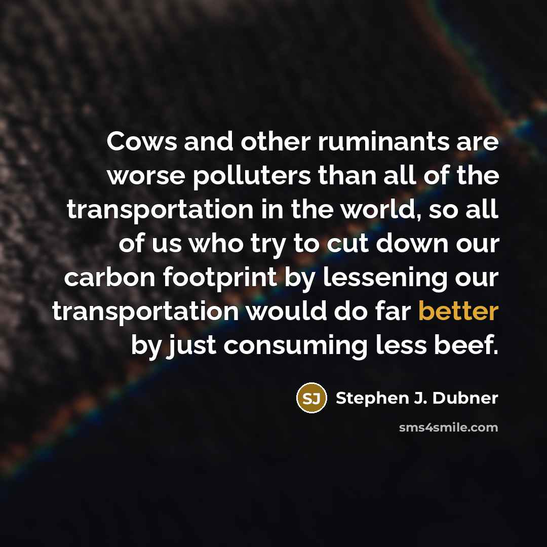 “Cows and other ruminants are worse polluters than all of the transportation in the world, so all of us who try to cut down our carbon footprint by lessening our transportation would do far better by just consuming less beef.” quote by Stephen J. Dubner