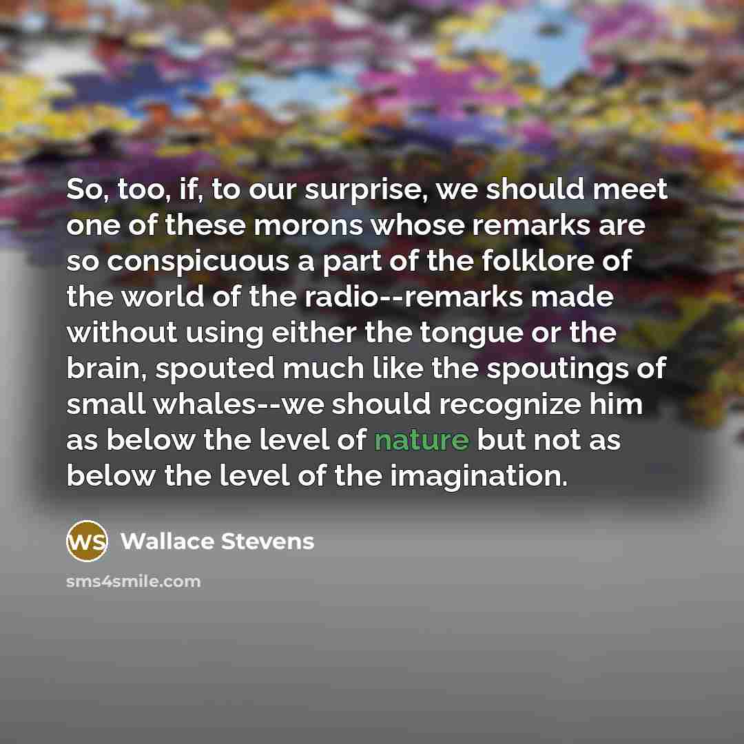 “So, too, if, to our surprise, we should meet one of these morons whose remarks are so conspicuous a part of the folklore of the world of the radio--remarks made without using either the tongue or the brain, spouted much like the spoutings of small whales--we should recognize him as below the level…” quote by Wallace Stevens