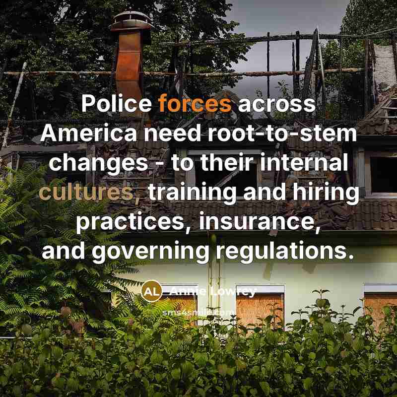 “Police forces across America need root-to-stem changes - to their internal cultures, training and hiring practices, insurance, and governing regulations.” quote by Annie Lowrey