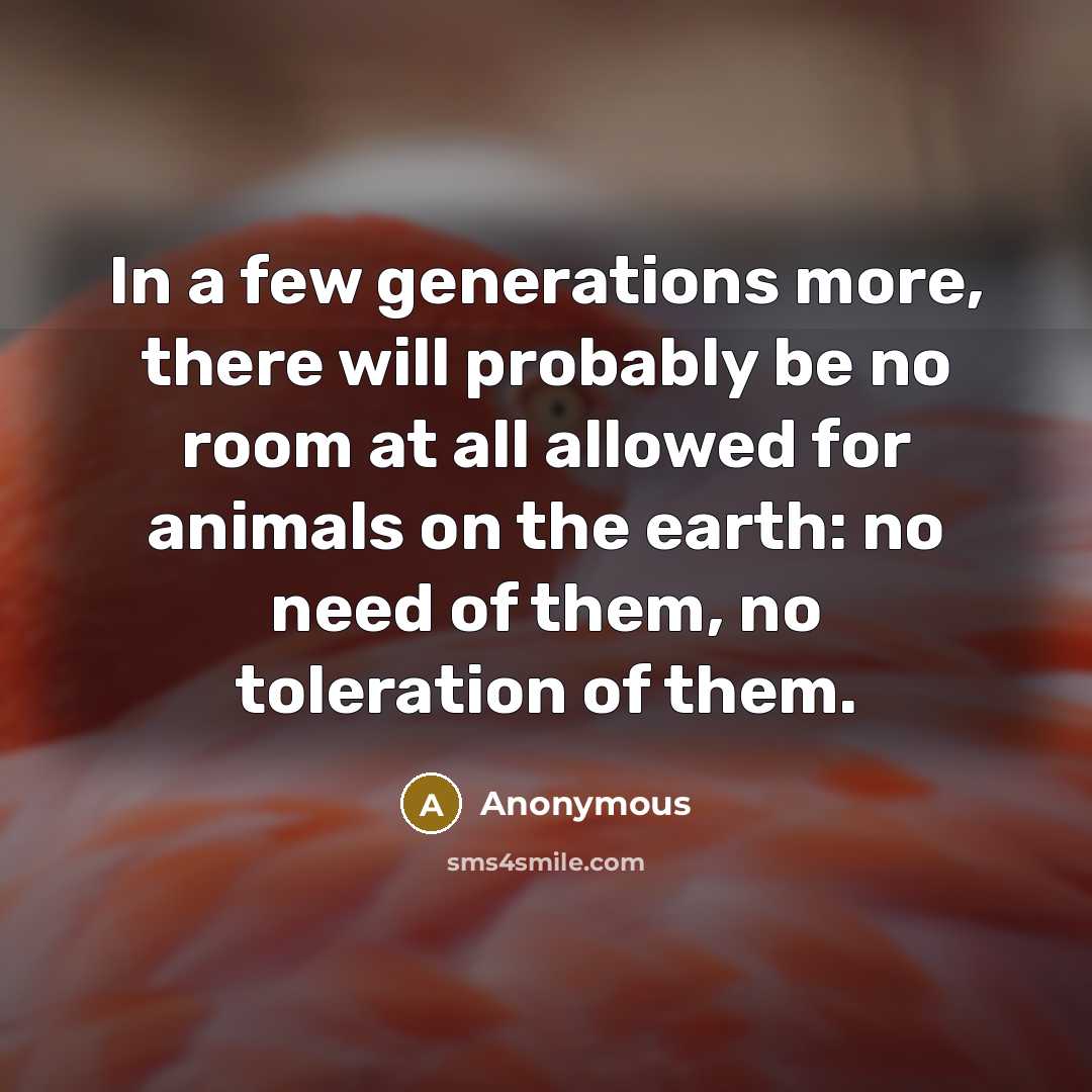 “In a few generations more, there will probably be no room at all allowed for animals on the earth: no need of them, no toleration of them.” quote by Anonymous