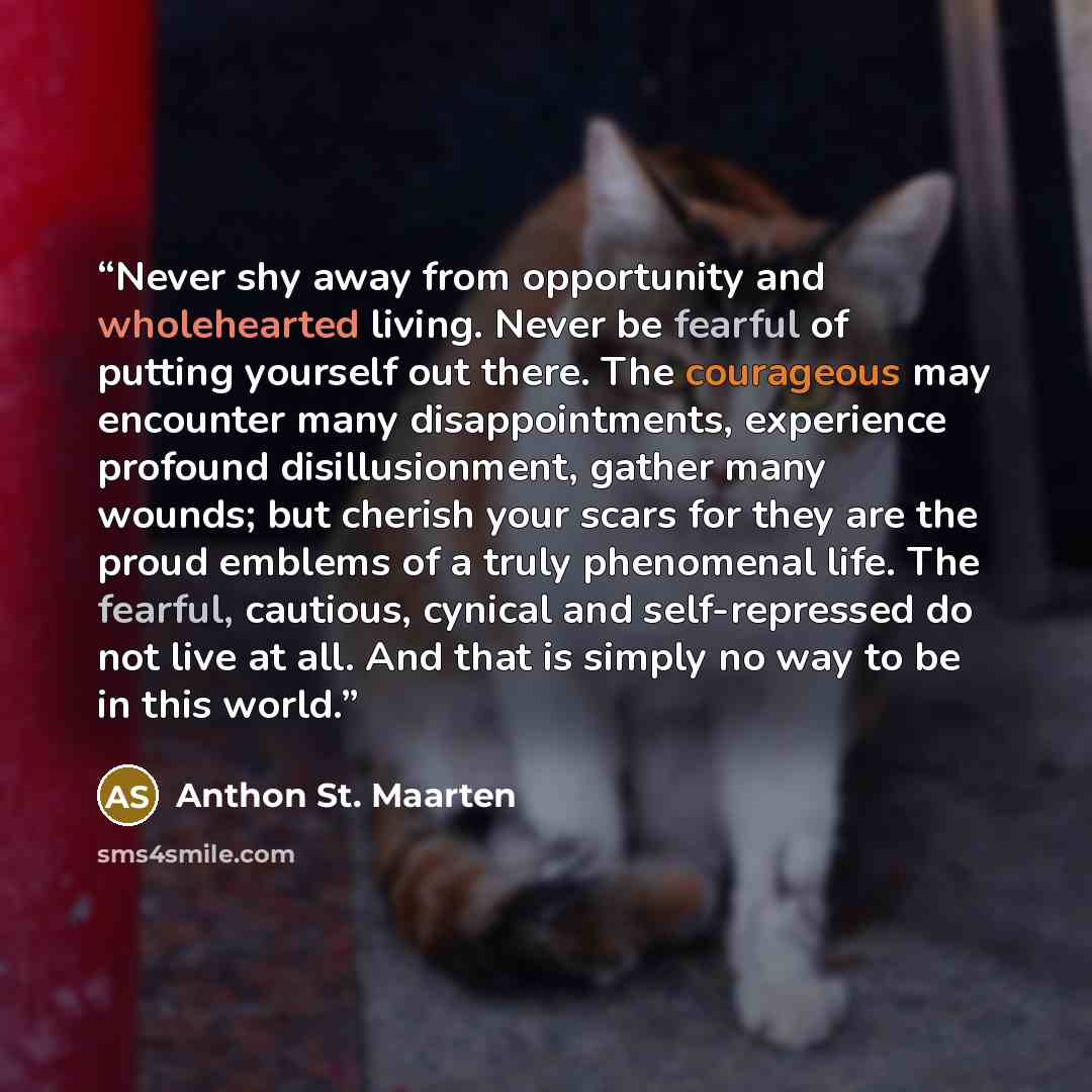 “Never shy away from opportunity and wholehearted living. Never be fearful of putting yourself out there. The courageous may encounter many disappointments, experience profound disillusionment, gather many wounds; but cherish your scars for they are the proud emblems of a truly phenomenal life. The…” quote by Anthon St. Maarten