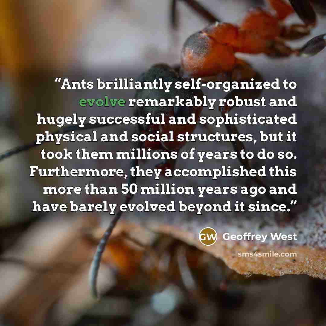 “Ants brilliantly self-organized to evolve remarkably robust and hugely successful and sophisticated physical and social structures, but it took them millions of years to do so. Furthermore, they accomplished this more than 50 million years ago and have barely evolved beyond it since.” quote by Geoffrey West
