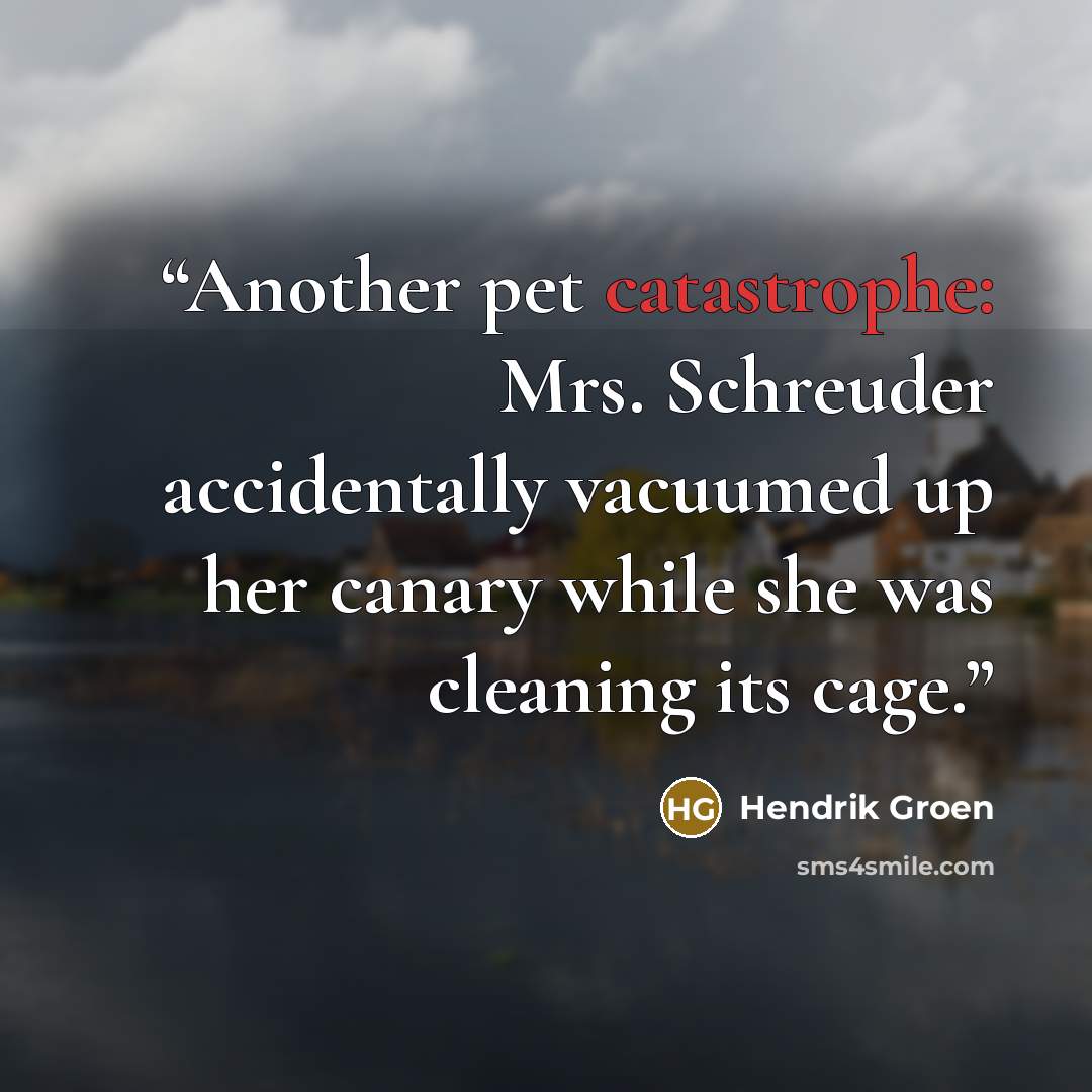 “Another pet catastrophe: Mrs. Schreuder accidentally vacuumed up her canary while she was cleaning its cage.” quote by Hendrik Groen