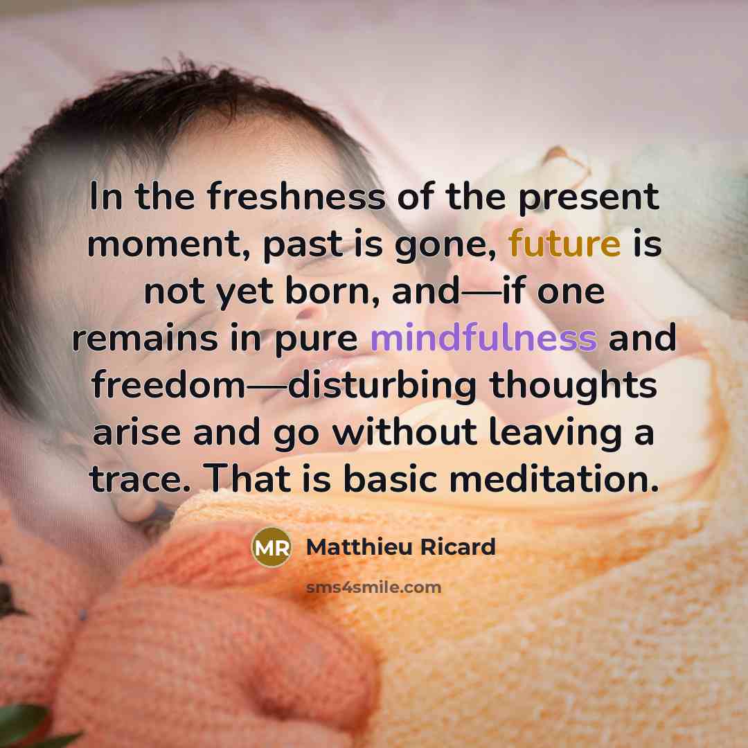 “In the freshness of the present moment, past is gone, future is not yet born, and—if one remains in pure mindfulness and freedom—disturbing thoughts arise and go without leaving a trace. That is basic meditation.” quote by Matthieu Ricard