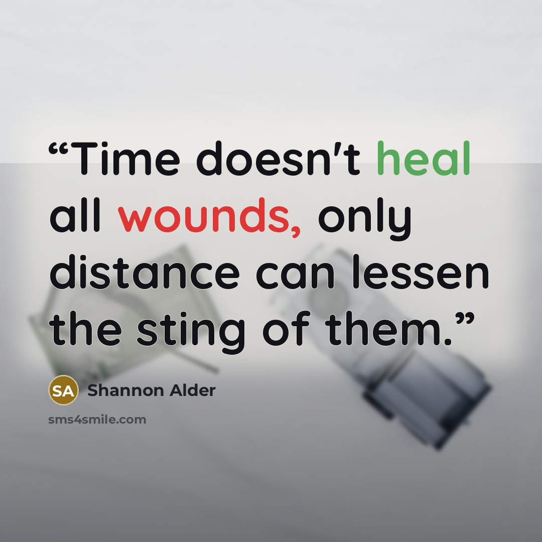 “Time doesn't heal all wounds, only distance can lessen the sting of them.” quote by Shannon Alder