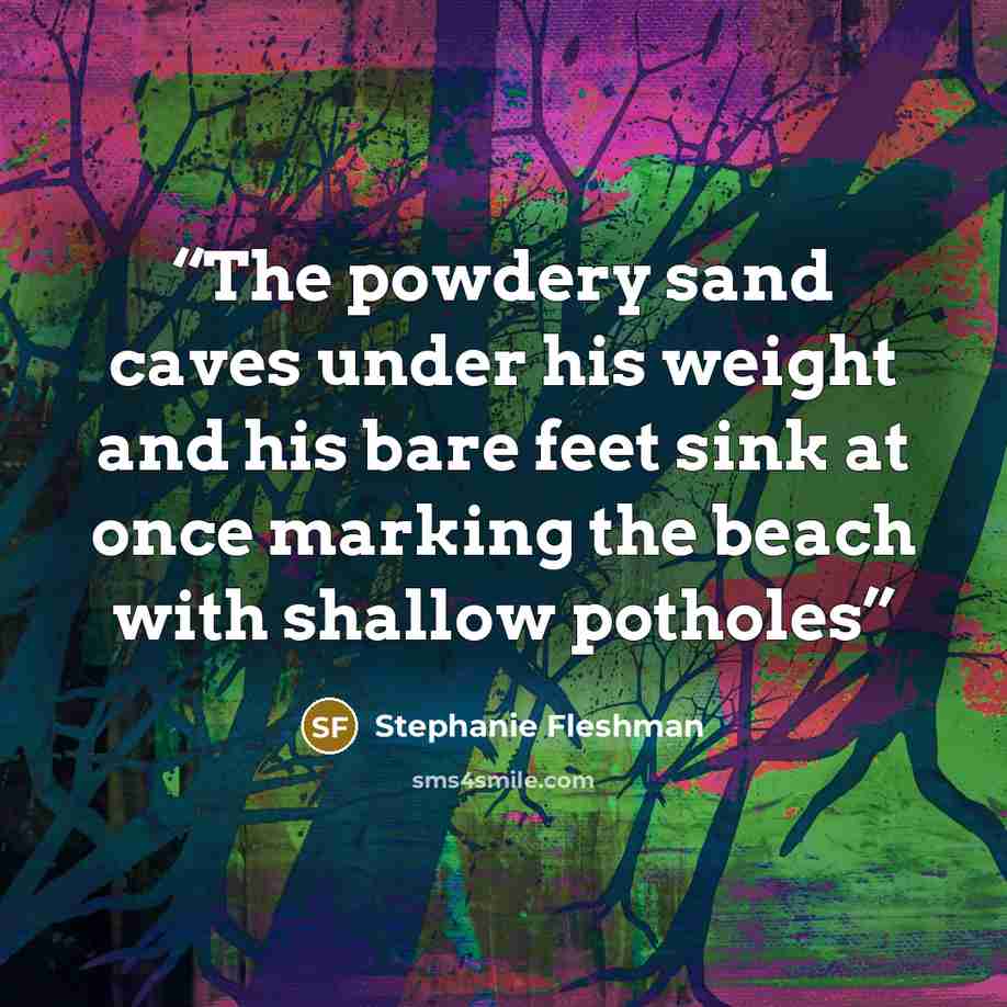 “The powdery sand caves under his weight and his bare feet sink at once marking the beach with shallow potholes” quote by Stephanie Fleshman