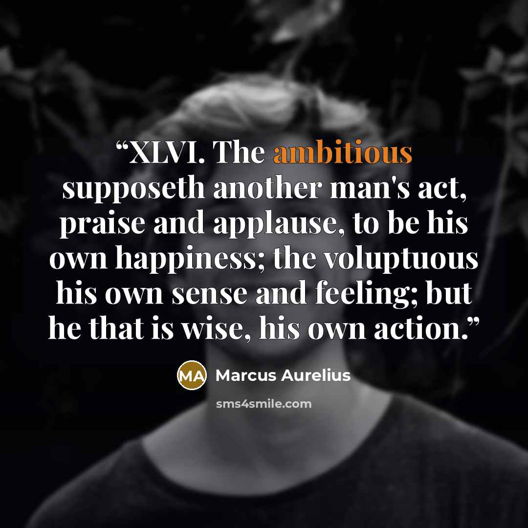 “XLVI. The ambitious supposeth another man's act, praise and applause, to be his own happiness; the voluptuous his own sense and feeling; but he that is wise, his own action.” quote by Marcus Aurelius