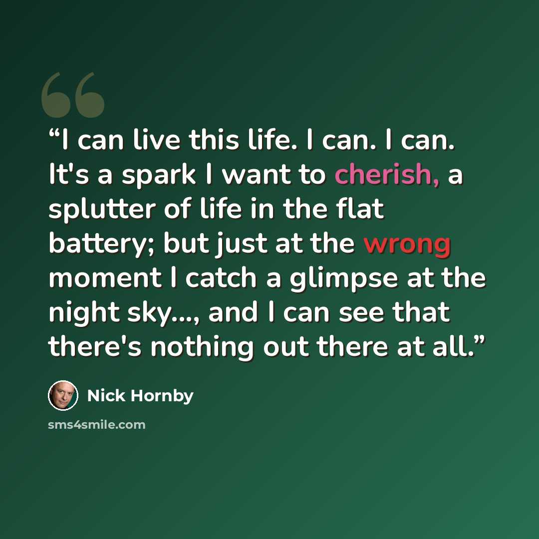 “I can live this life. I can. I can. It's a spark I want to cherish, a splutter of life in the flat battery; but just at the wrong moment I catch a glimpse at the night sky..., and I can see that there's nothing out there at all.” quote by Nick Hornby