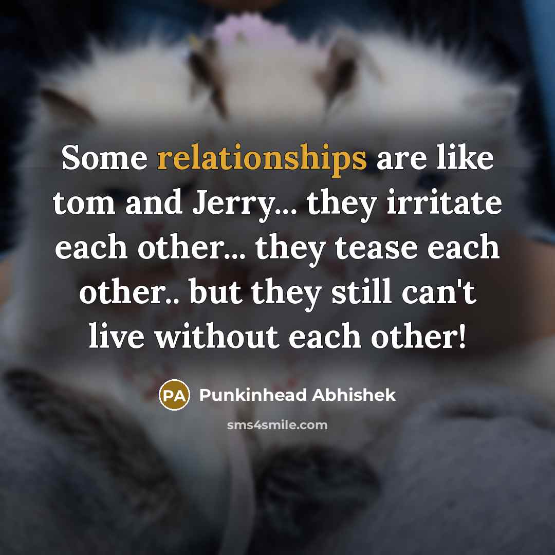 “Some relationships are like tom and Jerry... they irritate each other... they tease each other.. but they still can't live without each other!” quote by Punkinhead Abhishek