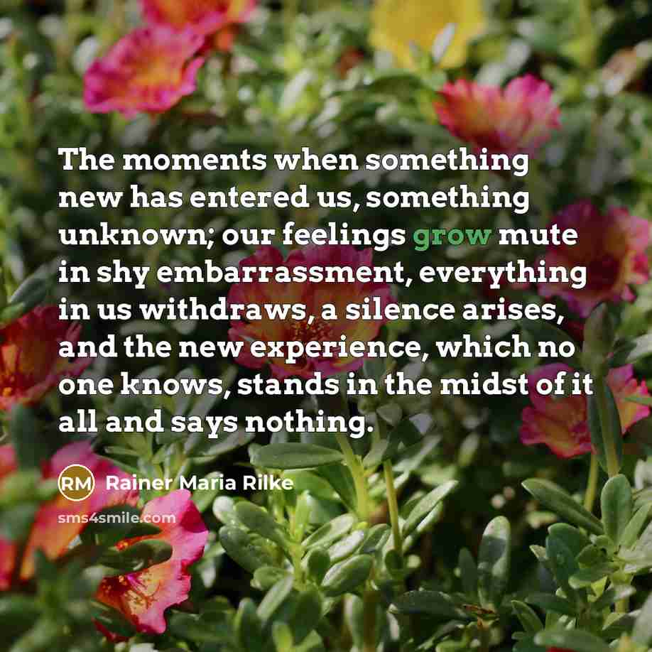 “The moments when something new has entered us, something unknown; our feelings grow mute in shy embarrassment, everything in us withdraws, a silence arises, and the new experience, which no one knows, stands in the midst of it all and says nothing.” quote by Rainer Maria Rilke