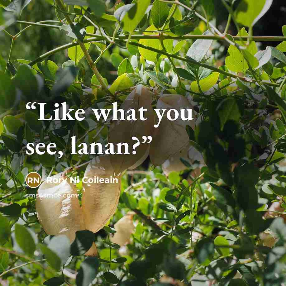 “Like what you see, lanan?” quote by Rory Ni Coileain
