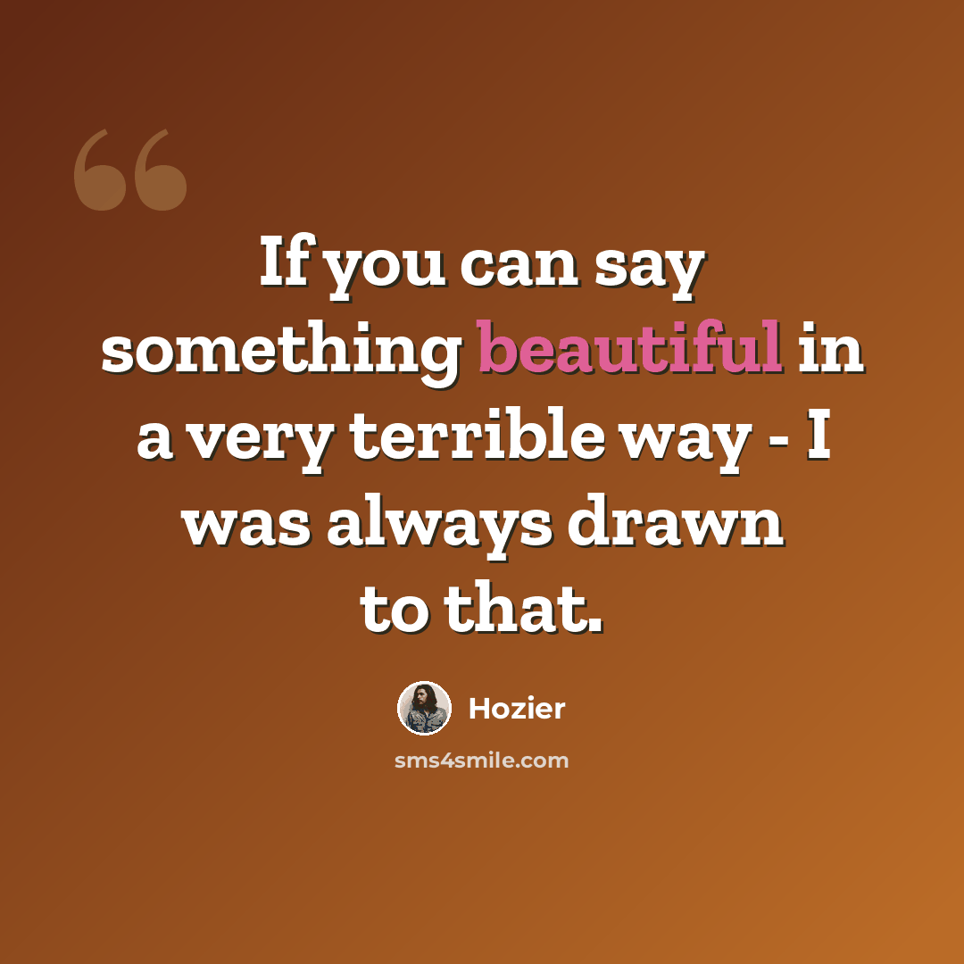 “If you can say something beautiful in a very terrible way - I was always drawn to that.” quote by Hozier