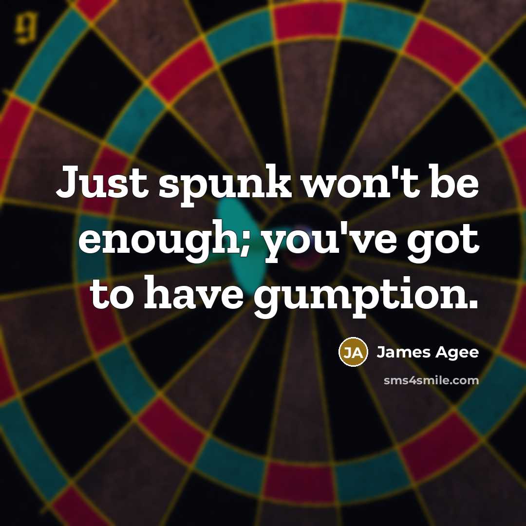“Just spunk won't be enough; you've got to have gumption.” quote by James Agee