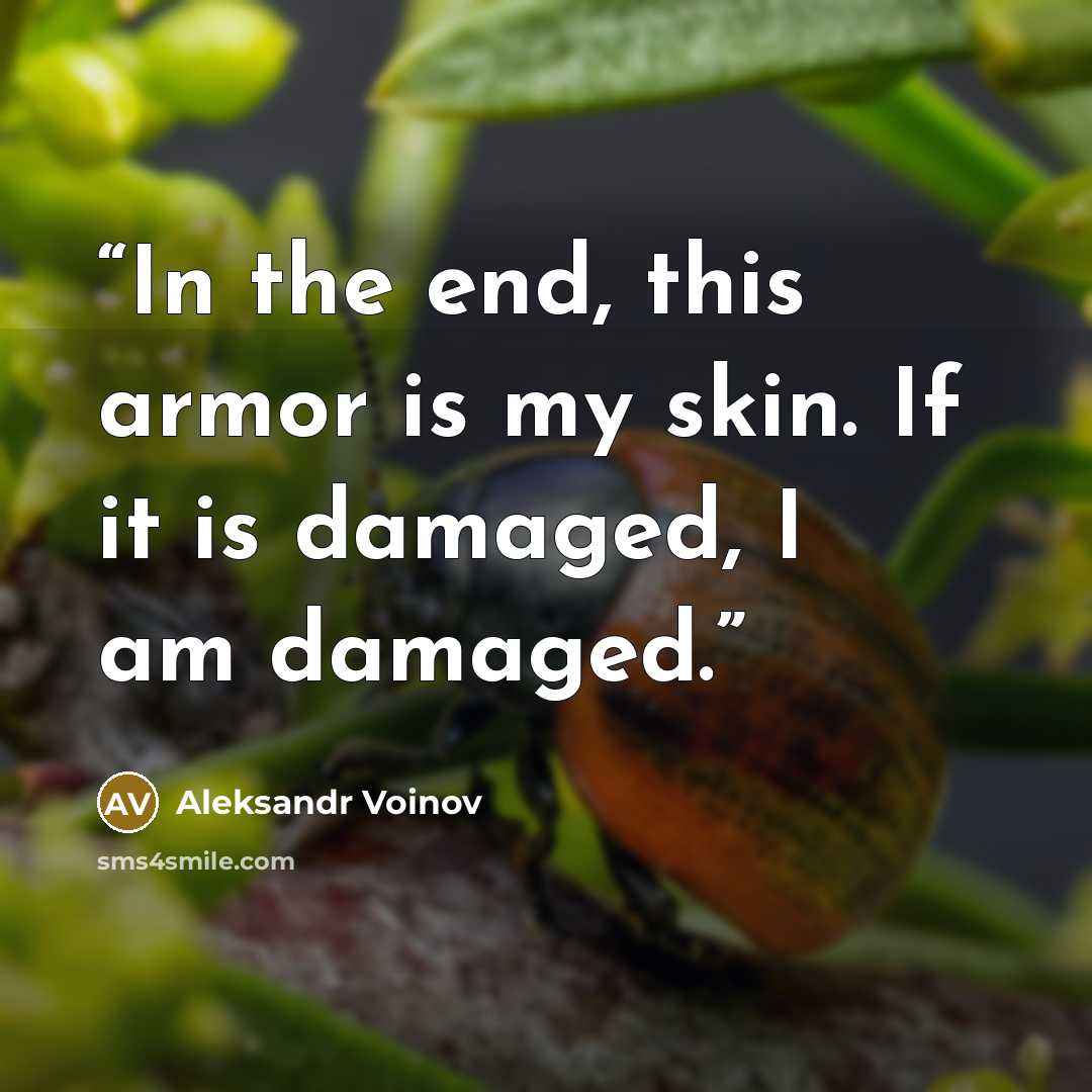 “In the end, this armor is my skin. If it is damaged, I am damaged.” quote by Aleksandr Voinov