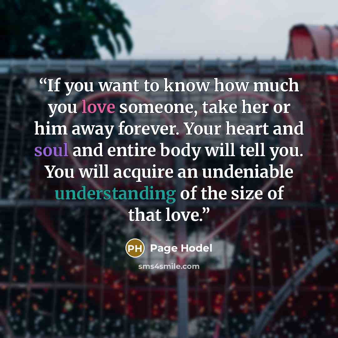 “If you want to know how much you love someone, take her or him away forever. Your heart and soul and entire body will tell you. You will acquire an undeniable understanding of the size of that love.” quote by Page Hodel