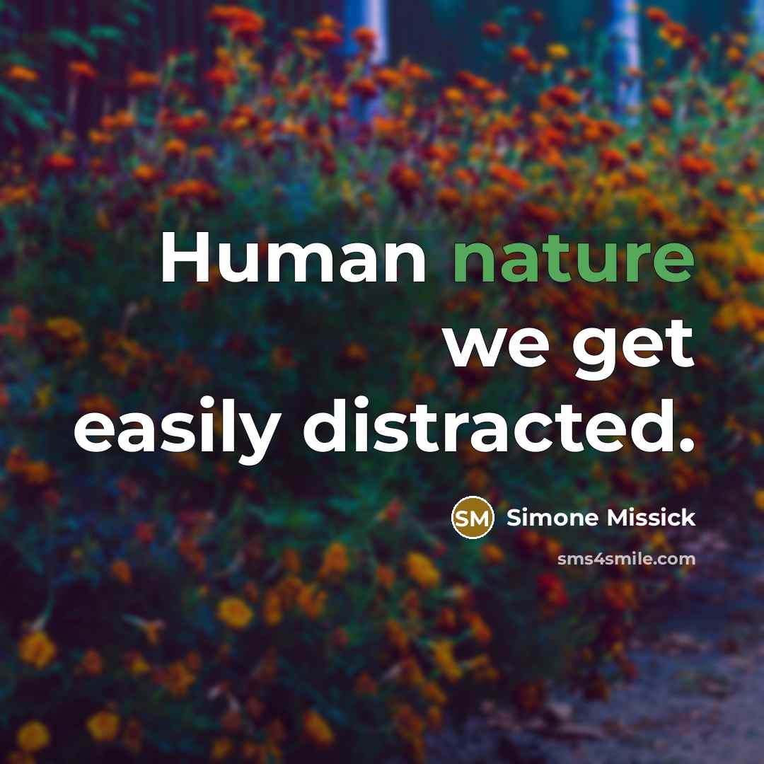 “Human nature we get easily distracted.” quote by Simone Missick