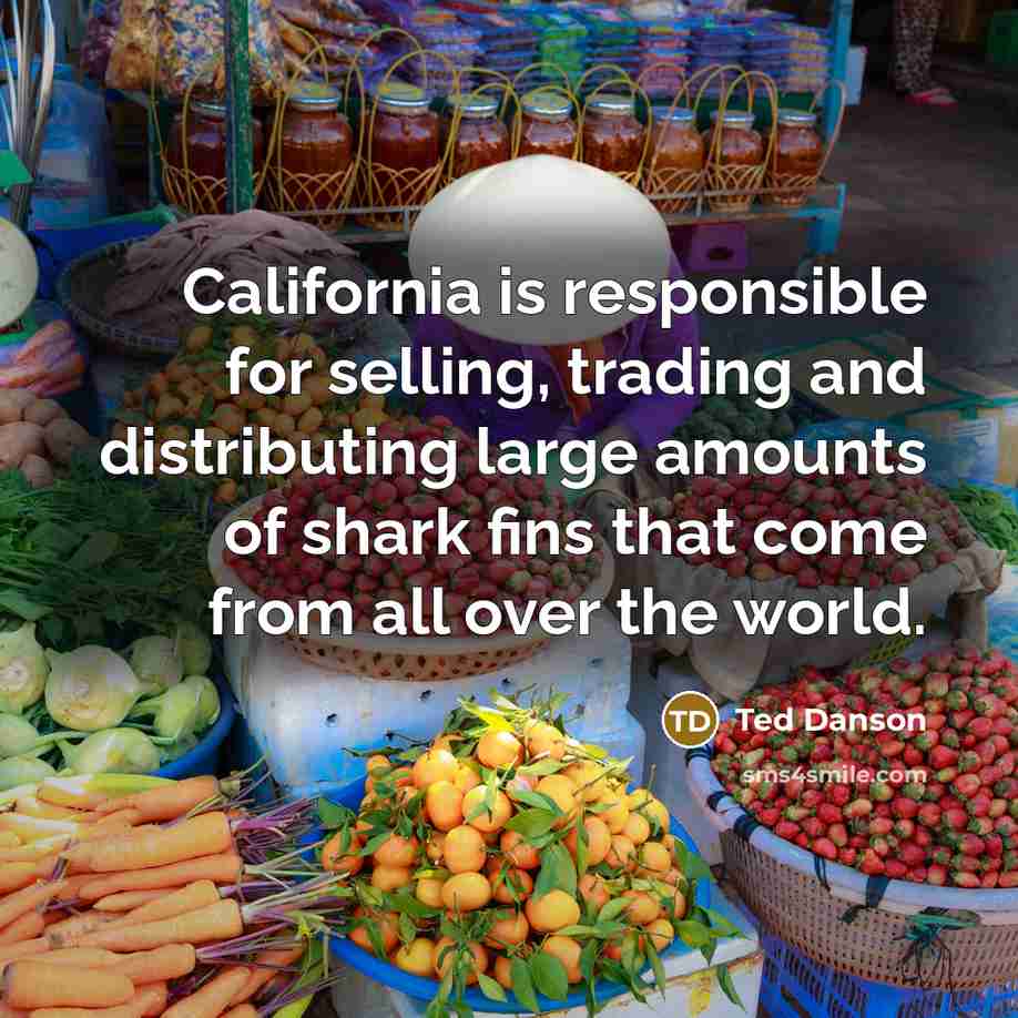 “California is responsible for selling, trading and distributing large amounts of shark fins that come from all over the world.” quote by Ted Danson